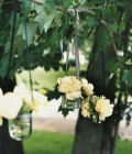 aranjamente-florale-nunta-aranjamente-agatatoare-suspendate-13